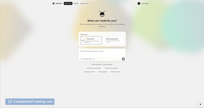 BackAnt, screenshot 3