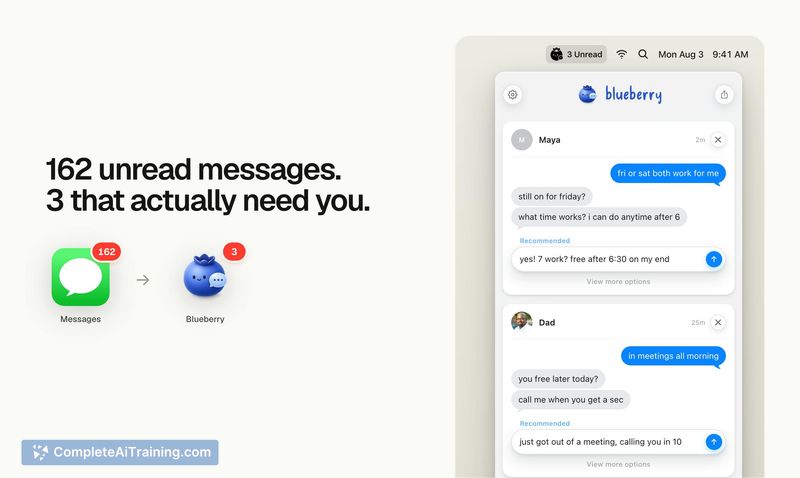 Blueberry, screenshot 3