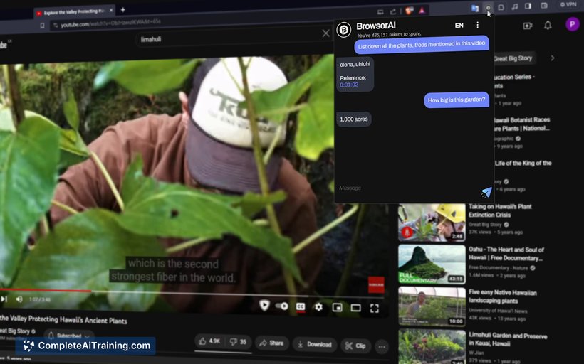 BrowserAI, screenshot 3