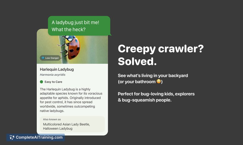 BugPic, screenshot 4