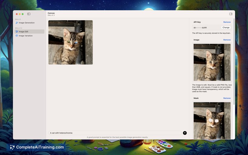 Canvas, screenshot 2