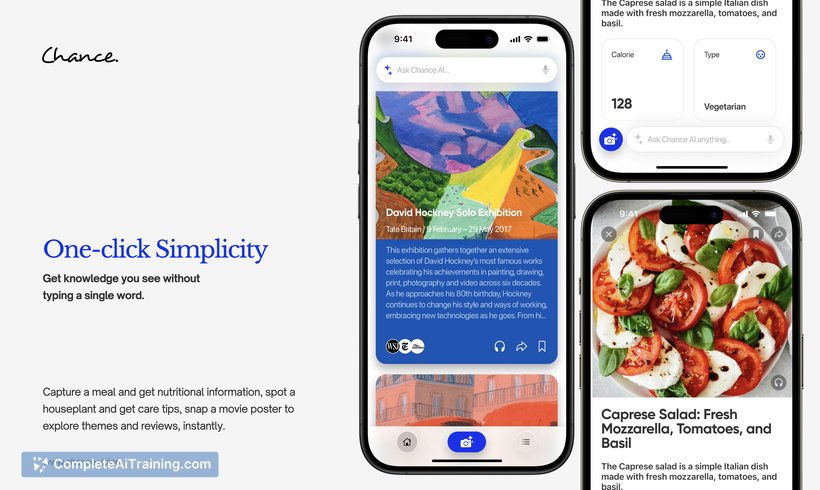 Chance AI: Visual Reasoning, screenshot 2