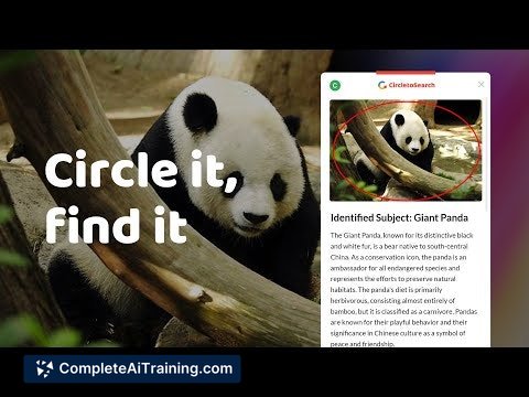 Circle to Search