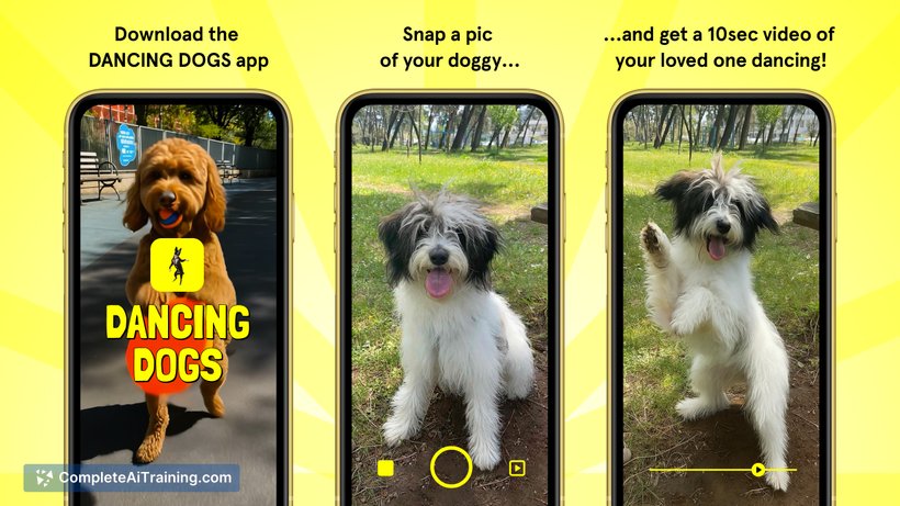 Dancing Dogs app