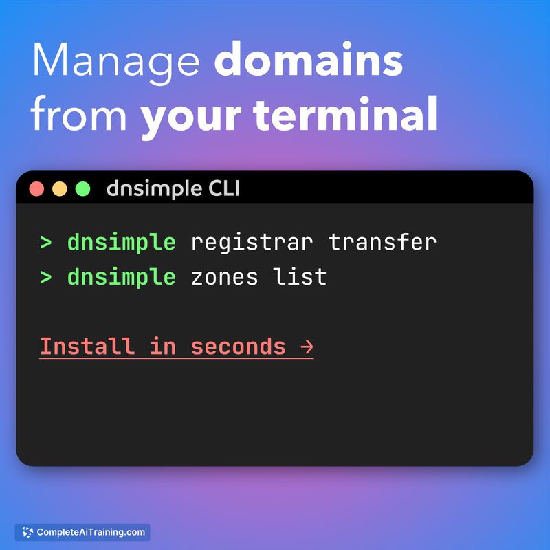 DNSimple CLI, screenshot 3
