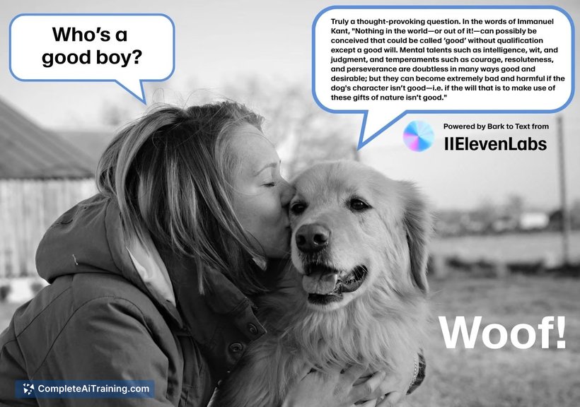 ElevenLabs Reader