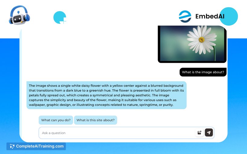 GPT-4 Vision Chatbot, screenshot 3