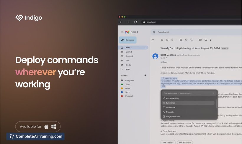 Indigo AI, screenshot 2