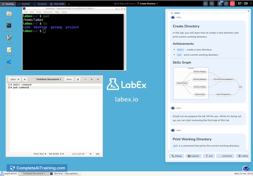 LabEx.io