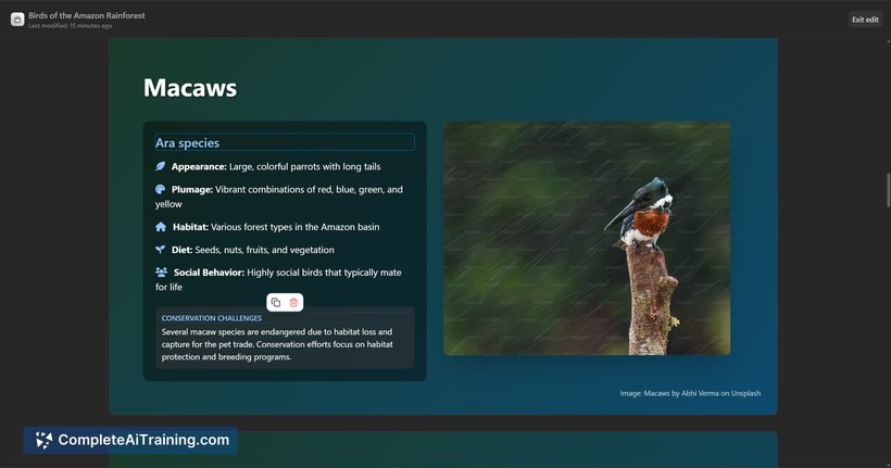Manus Slides, screenshot 3