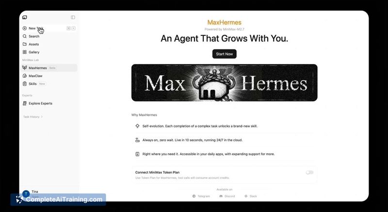 MaxHermes by Minimax