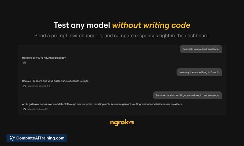ngrok AI Gateway