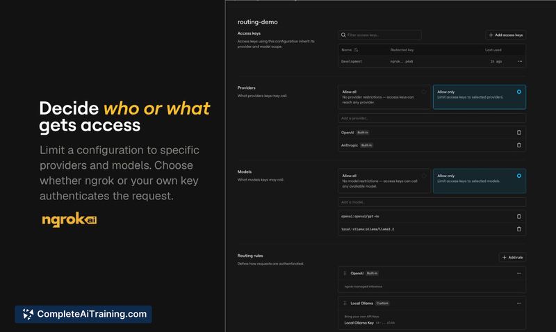 ngrok AI Gateway, screenshot 2