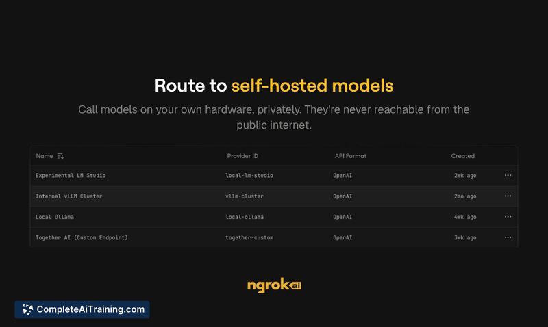 ngrok AI Gateway, screenshot 4