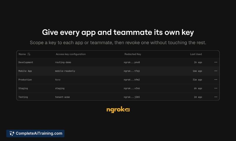 ngrok AI Gateway, screenshot 5