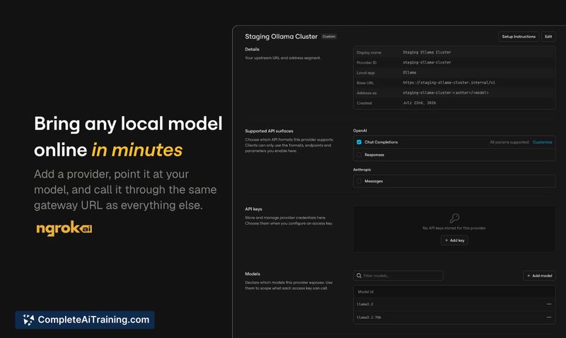 ngrok AI Gateway, screenshot 7