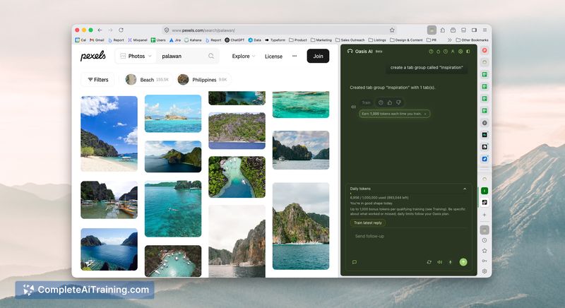 Oasis Browser for Mac, screenshot 1
