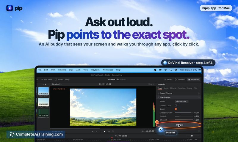 PIP