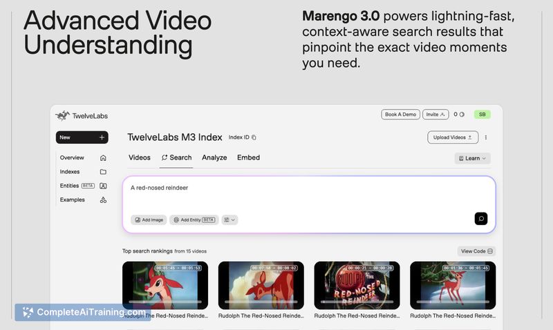 TwelveLabs Marengo 3.0, screenshot 3