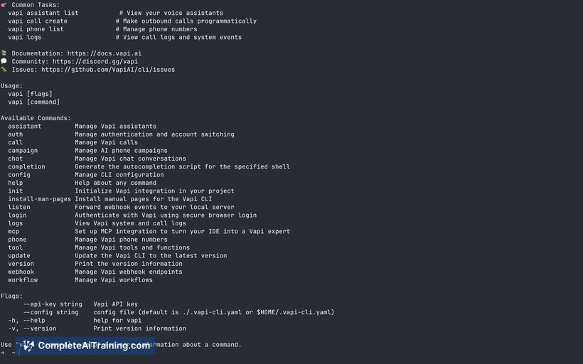 Vapi CLI, screenshot 3