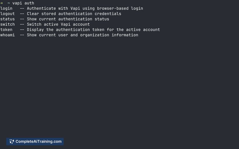 Vapi CLI, screenshot 5