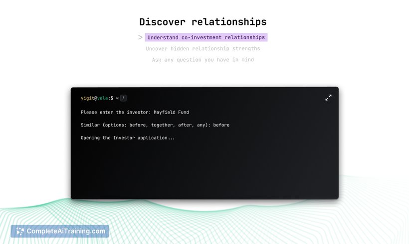 Vela Terminal, screenshot 5