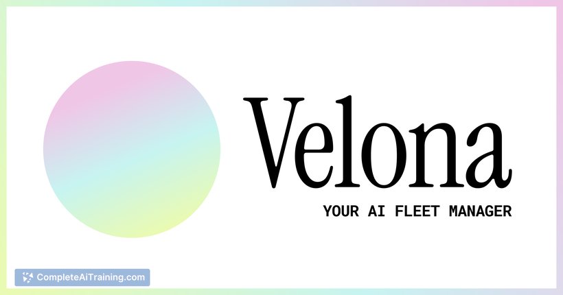 Velona AI