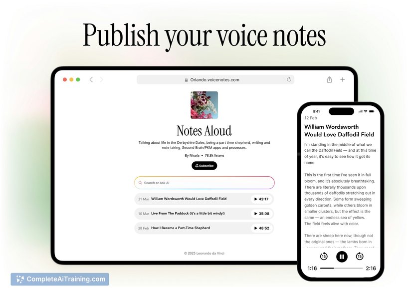 Voicenotes Pages