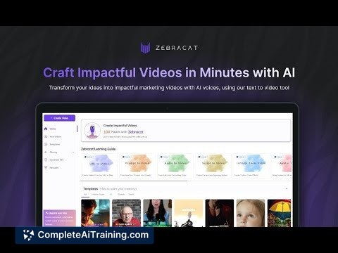 Zebracat 2.0