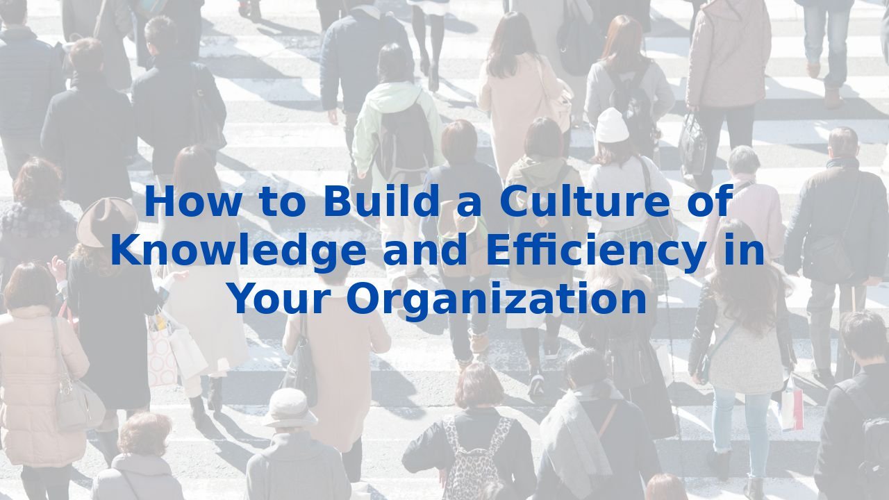 How to Build a Culture of Knowledge and Efficiency in Your Organization