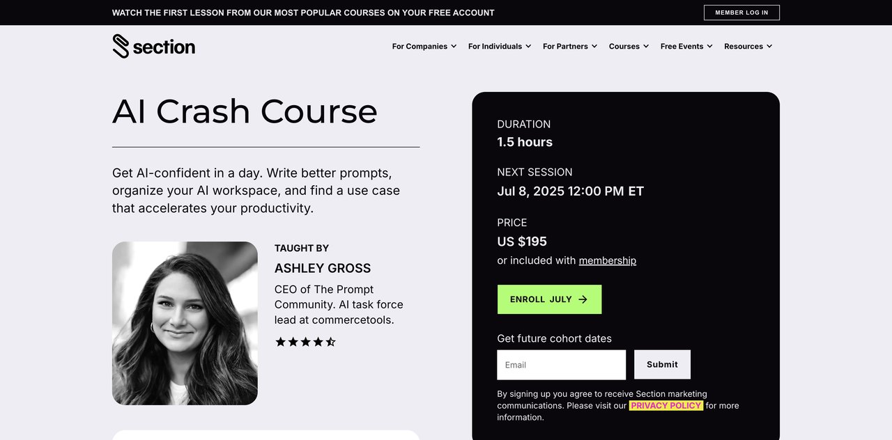 AI Crash Course by Section AI