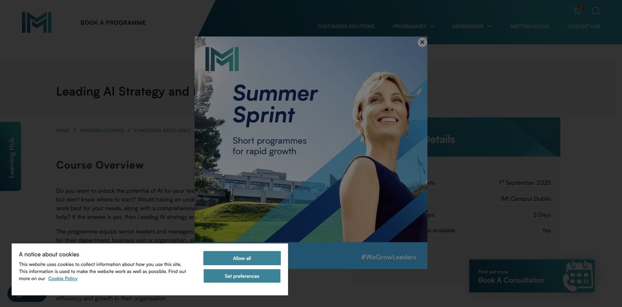 IMI AI Course