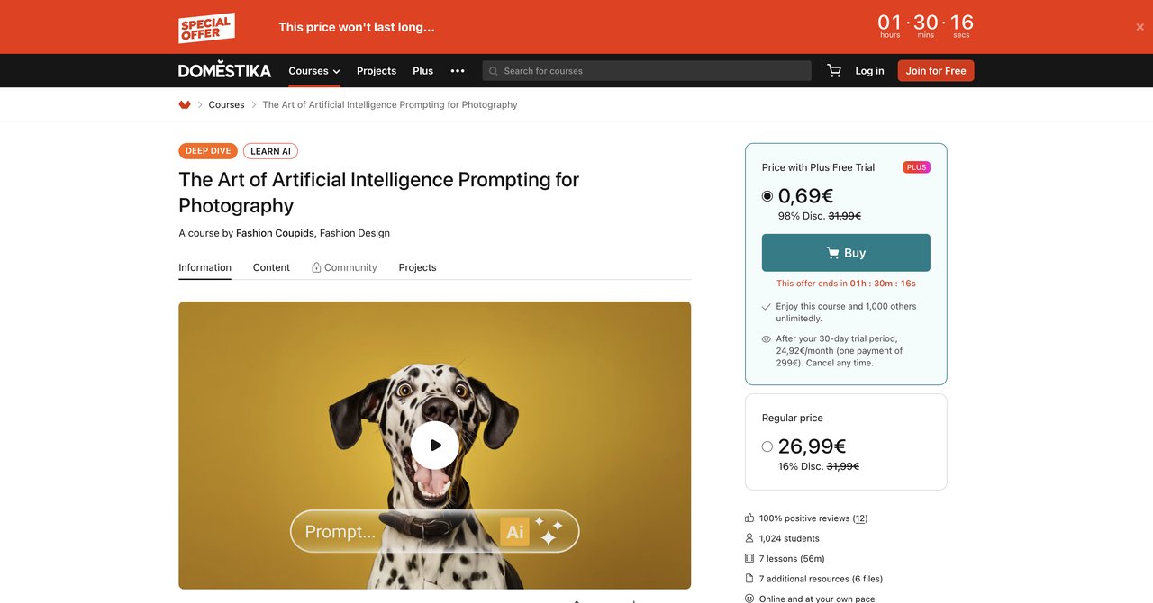 Domestika AI Prompting for Photography