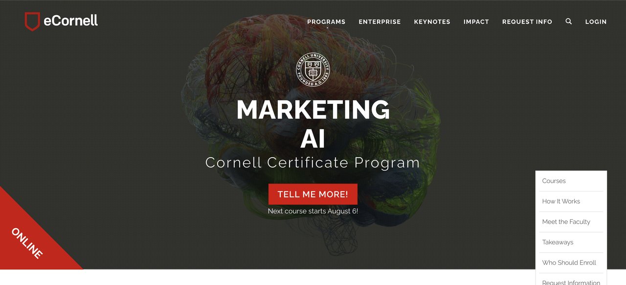 eCornell Marketing AI Program