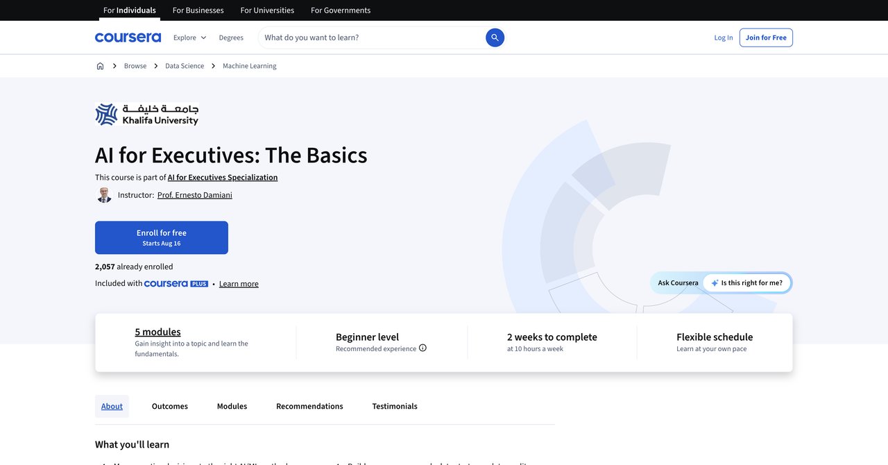 AI for Executives The Basics Coursera