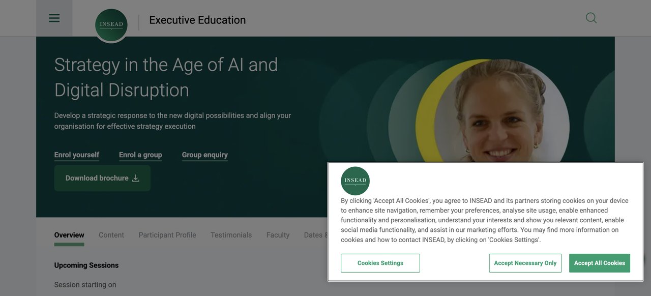 Strategy in the Age of AI by INSEAD