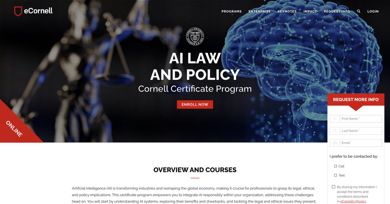 AI Law and Policy