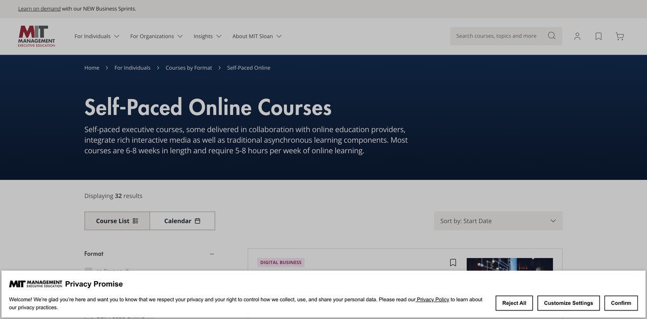 MIT Sloan AI Course