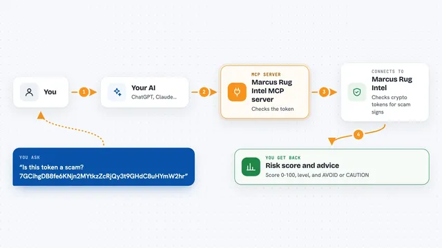 How the Marcus Rug Intel MCP server works: flow diagram