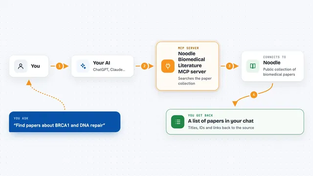 How the Noodle Biomedical Literature MCP server works: flow diagram