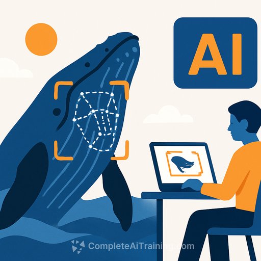 AI-Powered Facial Recognition Transforms Humpback Whale Tracking and Conservation
