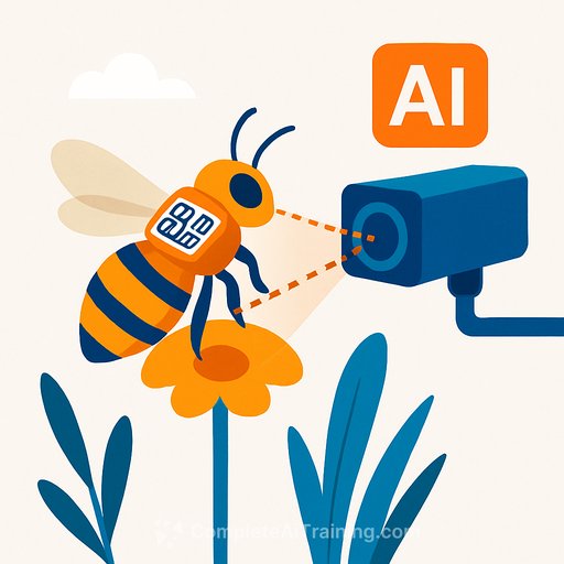 How QR Codes and AI Cameras Are Helping Scientists Track and Save Bees