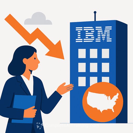 IBM pursues U.S. government AI contracts after stock falls 20% on competition fears