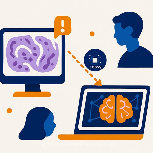 Lossy DICOM Conversion Alters AI Model Performance in Digital Pathology Imaging