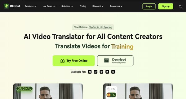 BlipCut AI Video Translator