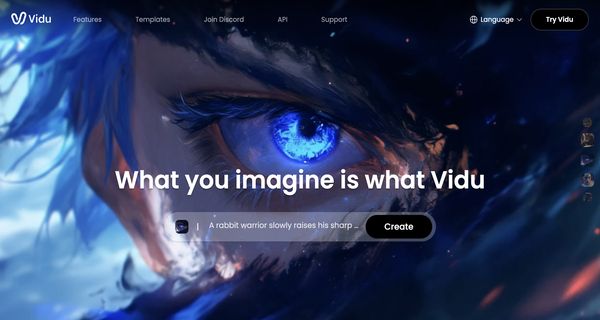 Vidu