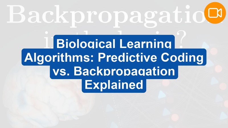 Biological Learning Algorithms: Backpropagation vs Predictive Coding Explained (Video Course)